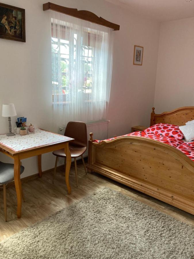 Penzion Hradecky Dvur Plzeň Exterior foto