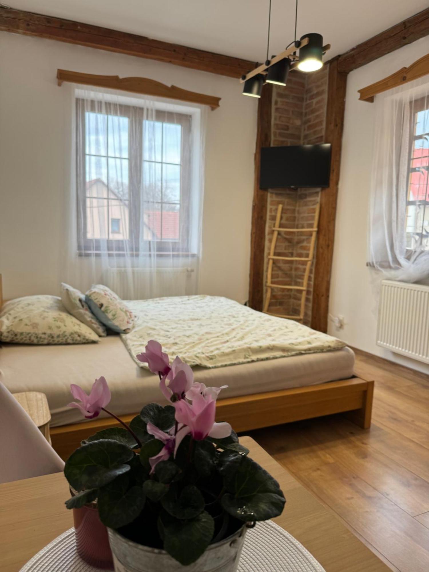 Penzion Hradecky Dvur Plzeň Exterior foto